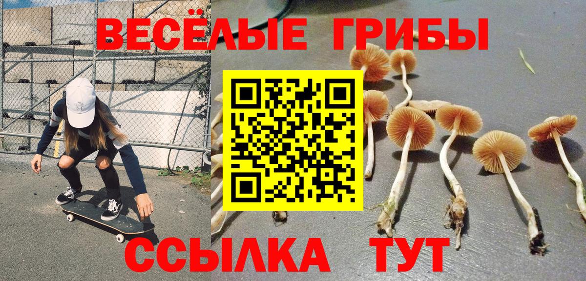 Галлюциногенные грибы GOLDEN TEACHER Киреевск
