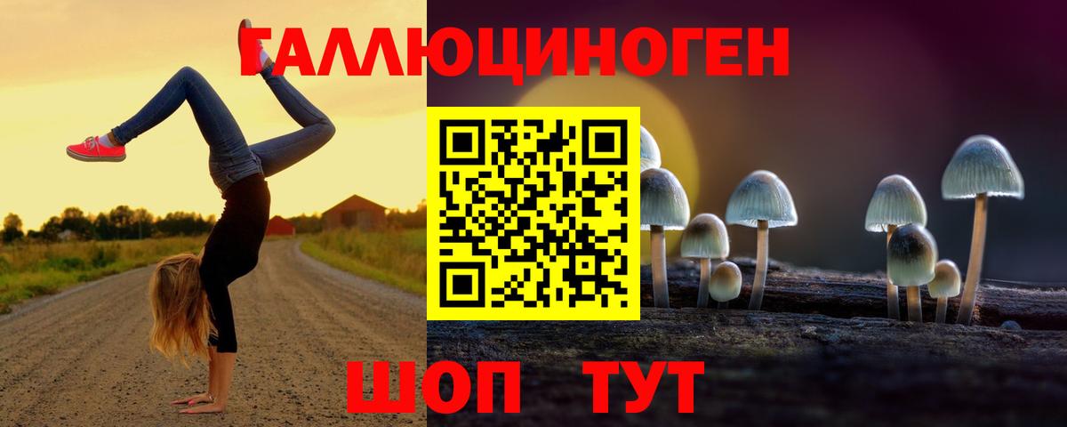 Галлюциногенные грибы Cubensis  как найти наркотики  Киреевск  Псилоцибиновые грибы Psilocybe  Вход с VPN 